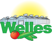 logo Welles